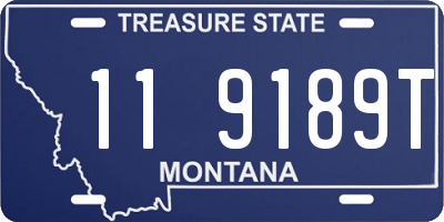 MT license plate 119189T
