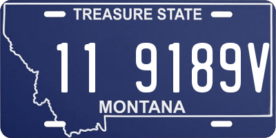 MT license plate 119189V
