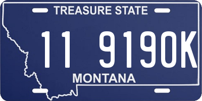 MT license plate 119190K