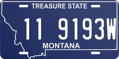 MT license plate 119193W