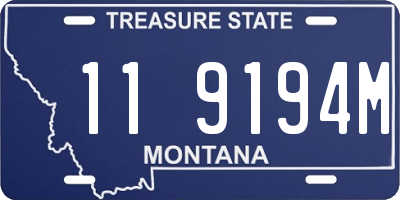 MT license plate 119194M
