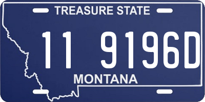 MT license plate 119196D