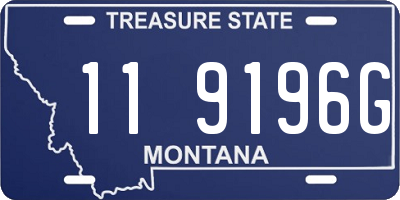 MT license plate 119196G