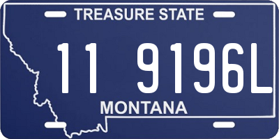 MT license plate 119196L