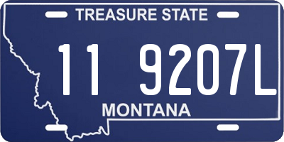 MT license plate 119207L