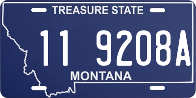 MT license plate 119208A