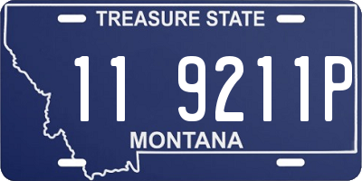 MT license plate 119211P