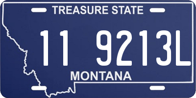 MT license plate 119213L