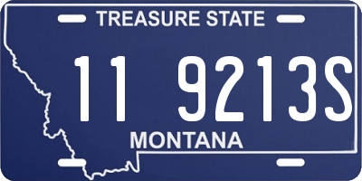 MT license plate 119213S