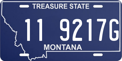 MT license plate 119217G