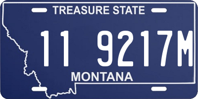 MT license plate 119217M