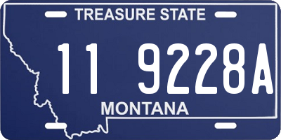 MT license plate 119228A