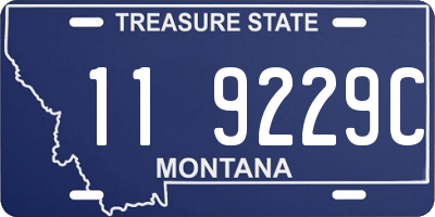 MT license plate 119229C