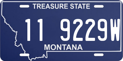 MT license plate 119229W