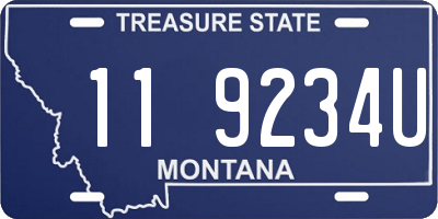 MT license plate 119234U