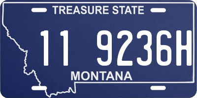 MT license plate 119236H