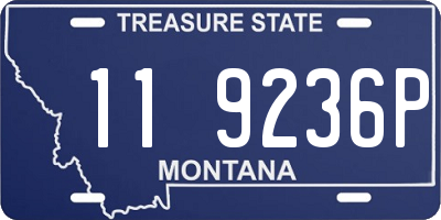 MT license plate 119236P