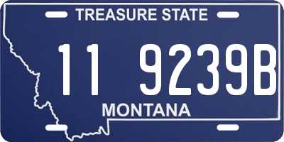 MT license plate 119239B