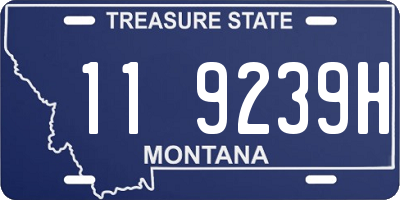 MT license plate 119239H