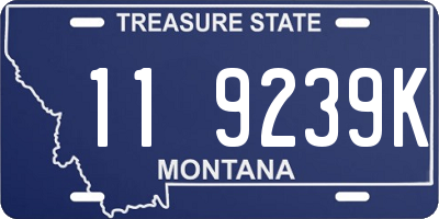 MT license plate 119239K