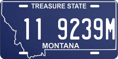MT license plate 119239M