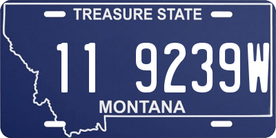 MT license plate 119239W