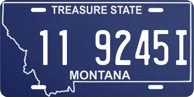 MT license plate 119245I