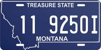 MT license plate 119250I