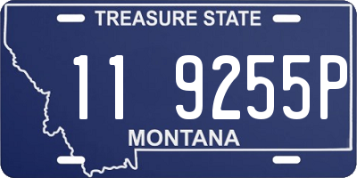 MT license plate 119255P