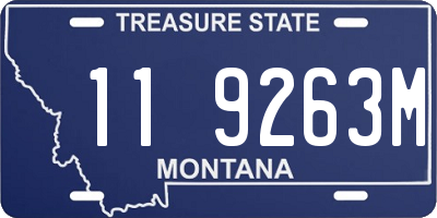 MT license plate 119263M