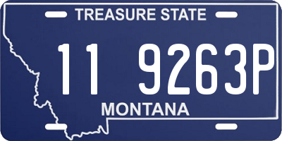 MT license plate 119263P