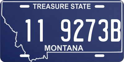 MT license plate 119273B