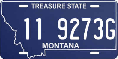 MT license plate 119273G