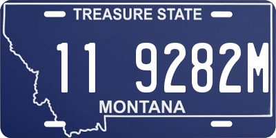 MT license plate 119282M