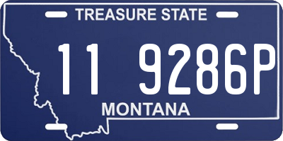 MT license plate 119286P