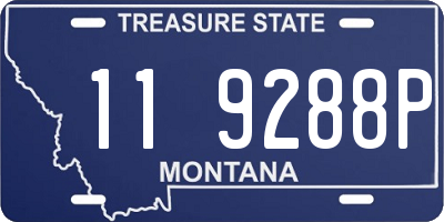 MT license plate 119288P