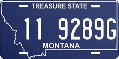 MT license plate 119289G