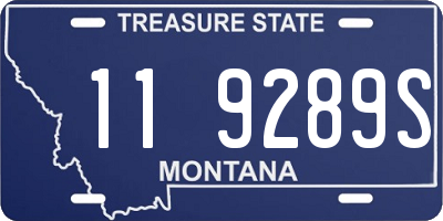 MT license plate 119289S