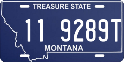 MT license plate 119289T