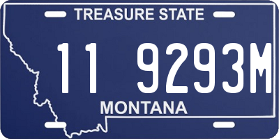 MT license plate 119293M