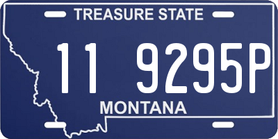 MT license plate 119295P