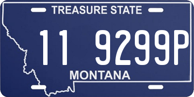 MT license plate 119299P