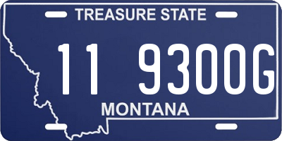 MT license plate 119300G