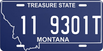 MT license plate 119301T