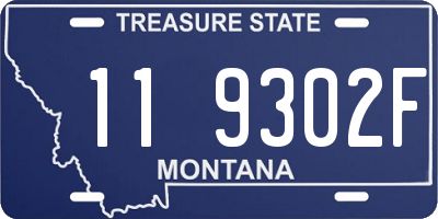MT license plate 119302F