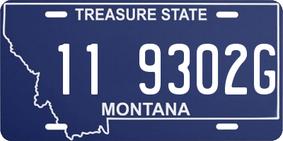 MT license plate 119302G