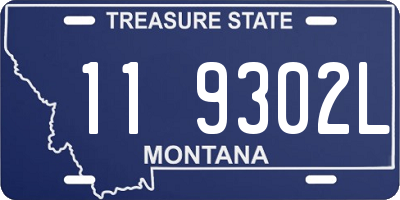 MT license plate 119302L