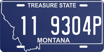 MT license plate 119304P