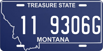 MT license plate 119306G