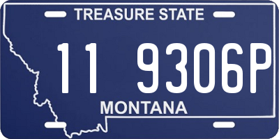 MT license plate 119306P